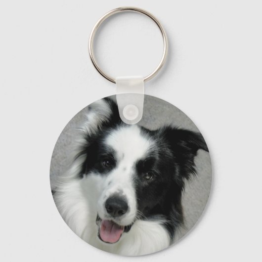 Cute Border Collie Photo Portrait Sleutelhanger (Voorkant)