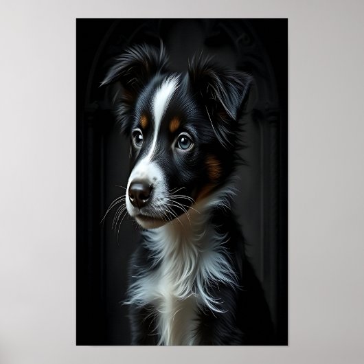 Cute Border Collie Poster (Voorkant)