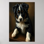 Cute Border Collie Poster (Voorkant)