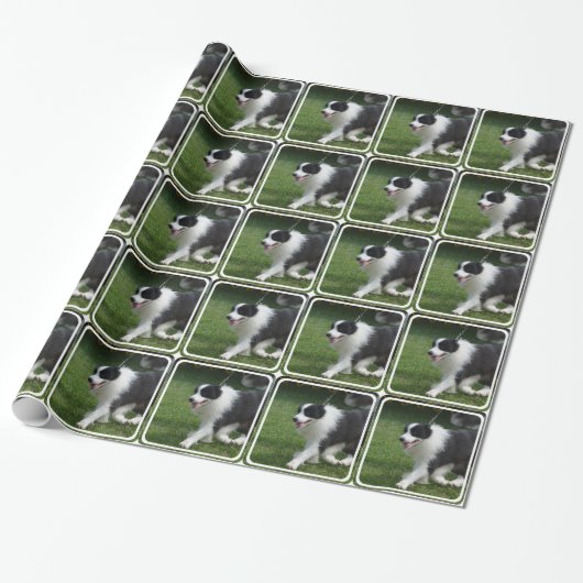 Cute Border Collie Puppy Cadeaupapier (Uitgerold)