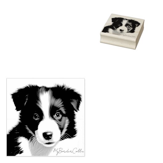 Cute Border Collie Puppy Portret Pet Keepomwille Rubberstempel (Gestempeld)