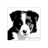 Cute Border Collie Puppy Portret Pet Keepomwille Rubberstempel (Afrduk)