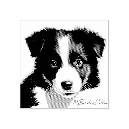 Cute Border Collie Puppy Portret Pet Keepomwille Rubberstempel (Afrduk)