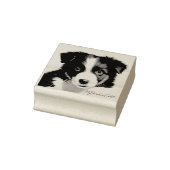 Cute Border Collie Puppy Portret Pet Keepomwille Rubberstempel (Stempel)