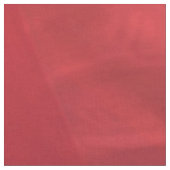 Cute border collie stof (Close Up)