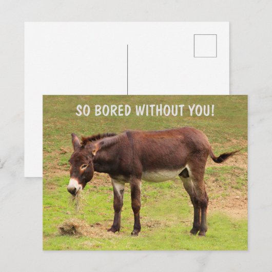 Cute Bored Donkey Briefkaart (Voorkant / Achterkant)