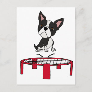 Cute Boston Terrie Dog on Trampoline Cartoon Briefkaart