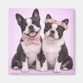 Cute Boston Terrier Couple Valentine Illustration Magneet