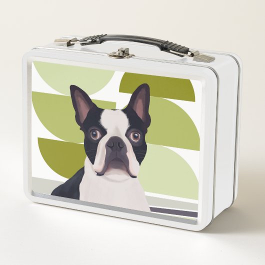 Cute Boston Terrier Dog (Voorkant)