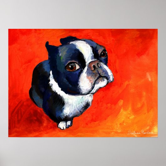 Cute Boston Terrier Dog schilderij Svetlana Noviko Poster (Voorkant)