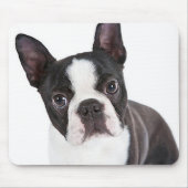 Cute Boston Terrier Ma Puppy Funny Dog Lover Muismat (Voorkant)