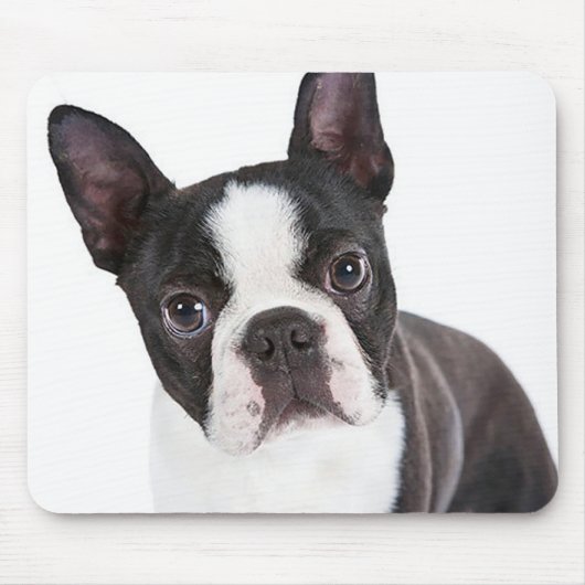 Cute Boston Terrier Ma Puppy Funny Dog Lover Muismat (Voorkant)