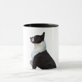Cute Boston Terrier Mok (Midden)