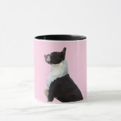 Cute Boston Terrier Mok (Midden)