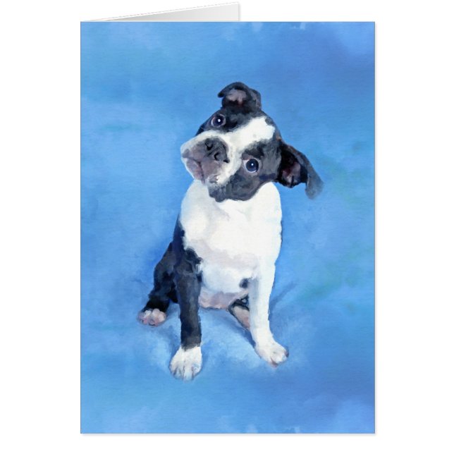 Cute Boston Terrier Puppy Painting (Voorkant)