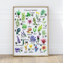 Cute Botanical Flowers Alphabet Baby Nursery