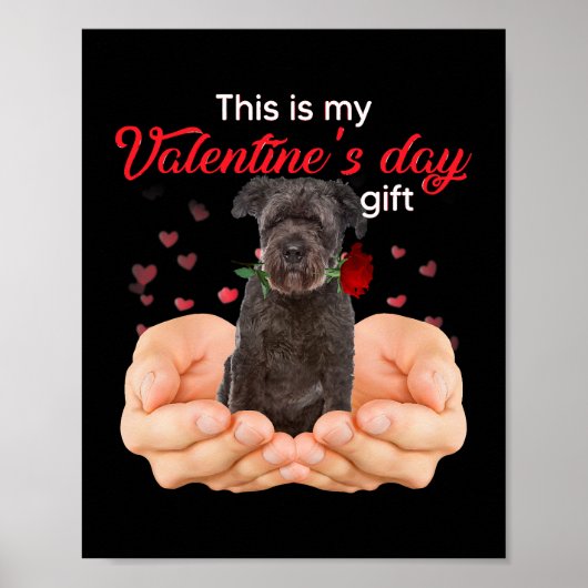 Cute Bouvier des Flandres Dit is mijn Valentijnse  Poster (Voorkant)
