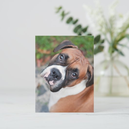 Cute boxer dog briefkaart (Staand voorkant)