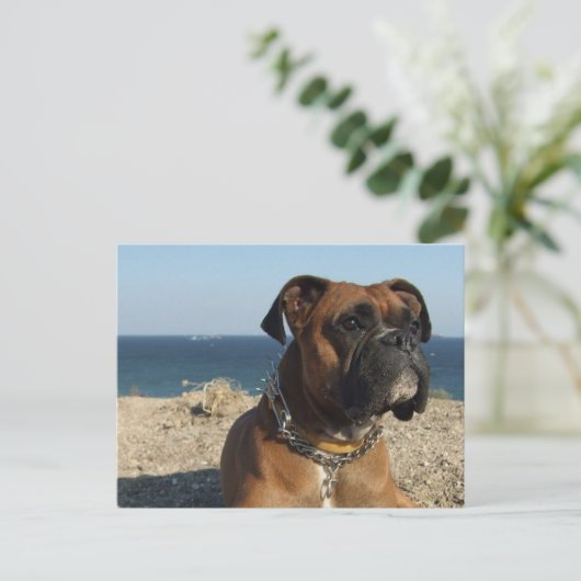 Cute Boxer Dog Briefkaart (Staand voorkant)