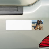 Cute Boxer Dog Bumpersticker (Op auto)