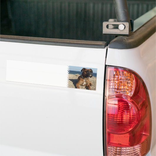 Cute Boxer Dog Bumpersticker (Op Truck)
