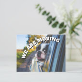 Cute Boxer Dog in Autoadres Aankondigingskaart (Staand voorkant)