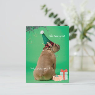 Cute Boxer Dog Kerstmis Ik ben goed Briefkaart gew