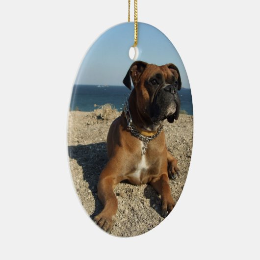 Cute Boxer Dog Ornament (Rechts)
