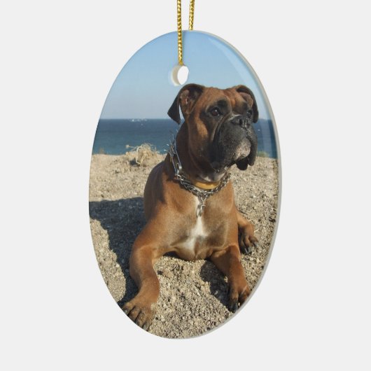 Cute Boxer Dog Ornament (Links)
