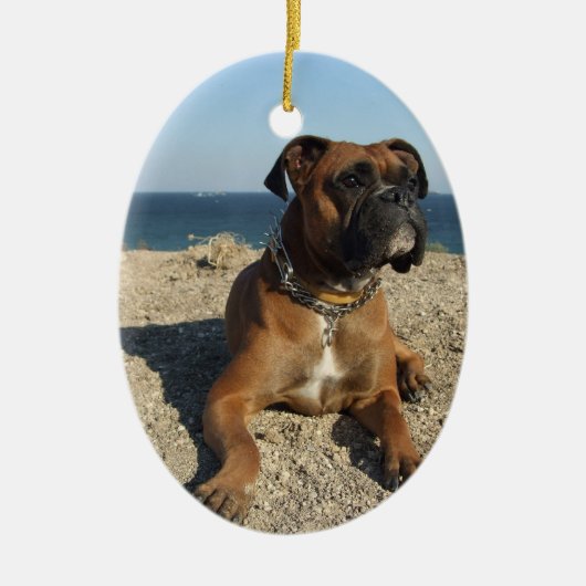 Cute Boxer Dog Ornament (Voorkant)