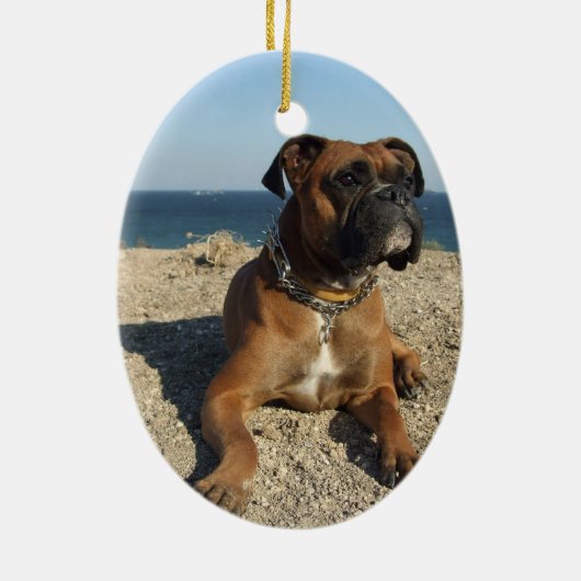 Cute Boxer Dog Ornament (Achterkant)