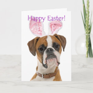 Cute Boxer Easter Kaart