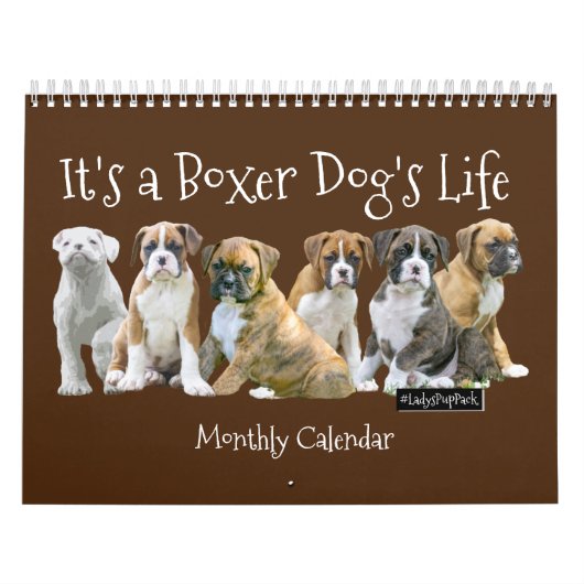 Cute Boxer Puppies Kalender (Hoes)