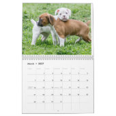 Cute Boxer Puppies Kalender (Mar 2027)