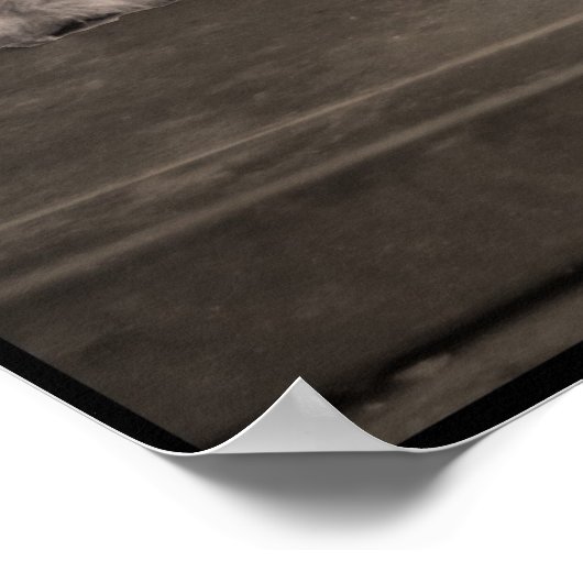 Cute Boxer Puppies Poster (Hoek)