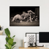 Cute Boxer Puppies Poster (Thuiskantoor)