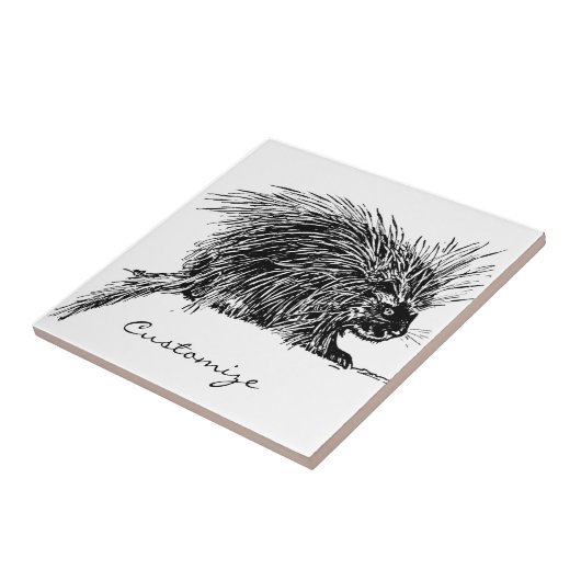 Cute Bristed Thunder_Cove Tegeltje (Zijkant)