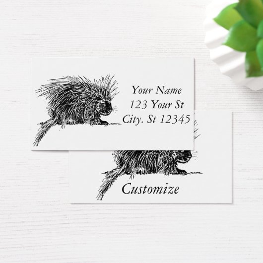 Cute Bristed Thunder_Cove Visitekaartje (Bureau)