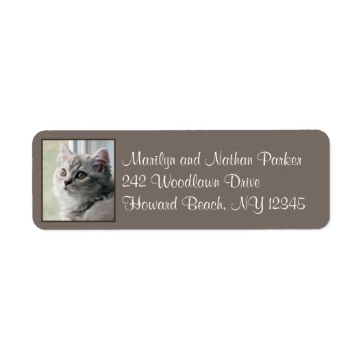 Cute British Long Hair Kitten Return Address Label (Voorkant)