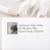 Cute British Long Hair Kitten Return Address Label (Insitu)