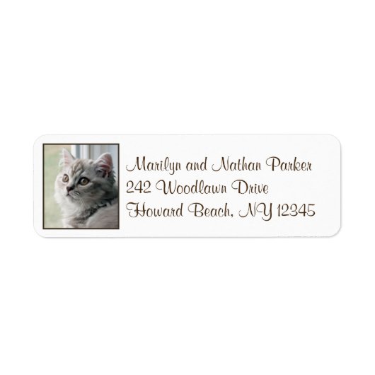 Cute British Long Hair Kitten Return Address Label (Voorkant)