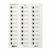 Cute British Long Hair Kitten Return Address Label (Full Sheet)