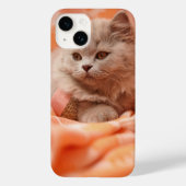 Cute British Shorthair Cat Case-Mate iPhone Case (Achterkant)