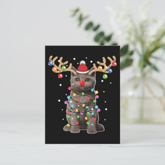 Cute British Shorthair Cat Funny Kerstfeestdag Briefkaart (Staand voorkant)