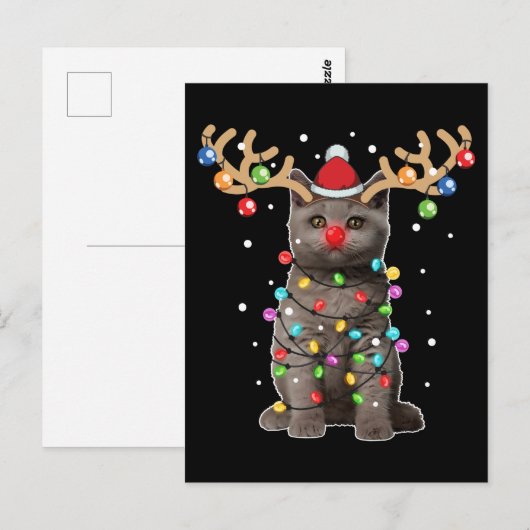 Cute British Shorthair Cat Funny Kerstfeestdag Briefkaart (Voorkant / Achterkant)