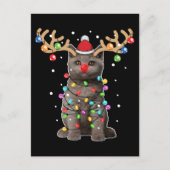 Cute British Shorthair Cat Funny Kerstfeestdag Briefkaart (Voorkant)