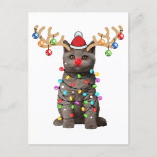 Cute British Shorthair Cat Funny Kerstfeestdag Briefkaart