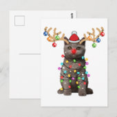 Cute British Shorthair Cat Funny Kerstfeestdag Briefkaart (Voorkant / Achterkant)