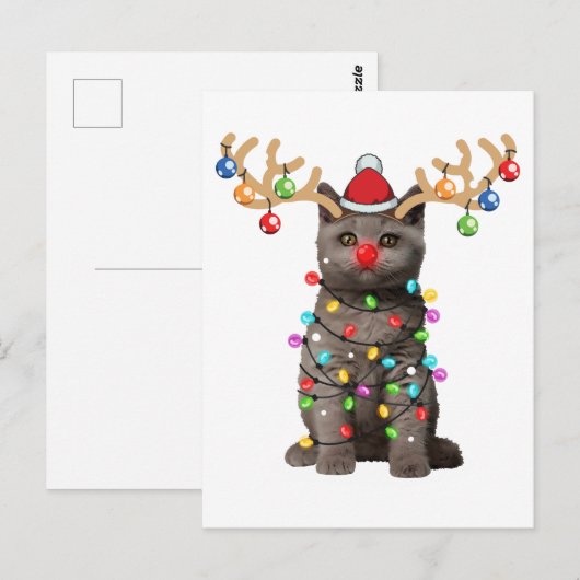 Cute British Shorthair Cat Funny Kerstfeestdag Briefkaart (Voorkant / Achterkant)