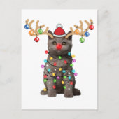 Cute British Shorthair Cat Funny Kerstfeestdag Briefkaart (Voorkant)